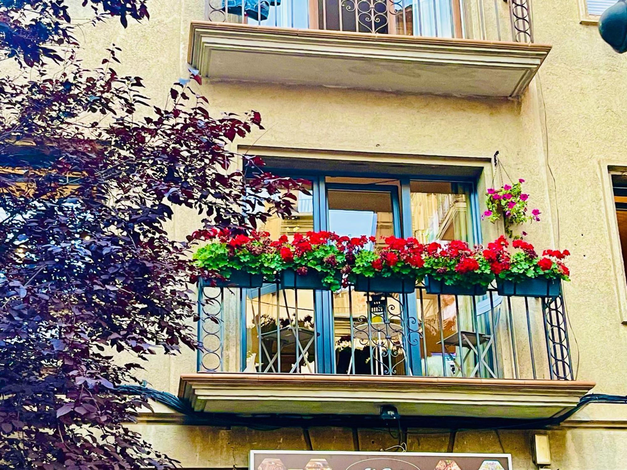 Cal Querol 1 - Centre Lägenhet Puigcerdà Exteriör bild